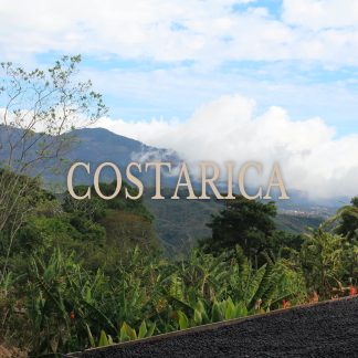 COSTA RICA CERRO ALTO LA UNION GEISHA NATURAL