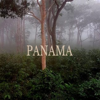 PANAMA ABU COFFEE GEISHA NATURAL ANAEROBIC GN-2728